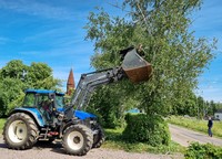 Trädgårdsröj1