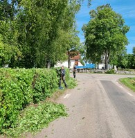 Trädgårdsröj3