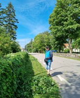 Trädgårdsröj4