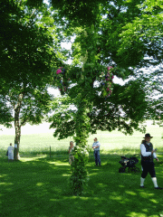 Välkommen till MIDSOMMARFIRANDE i Normlösa, Klockarängen-Spotlight